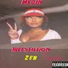 Zebnigga - MEGAN THEESTALLION (feat. Leaakmoney) - Single